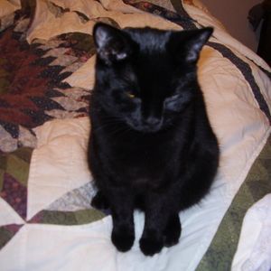 Meet your Posher, Gizella